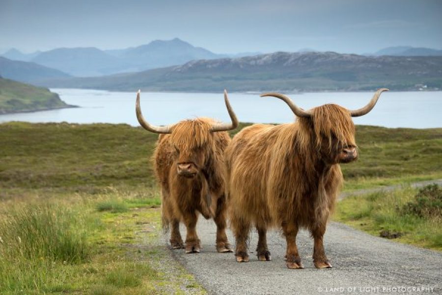 Half Day Loch Ness Circular Tour