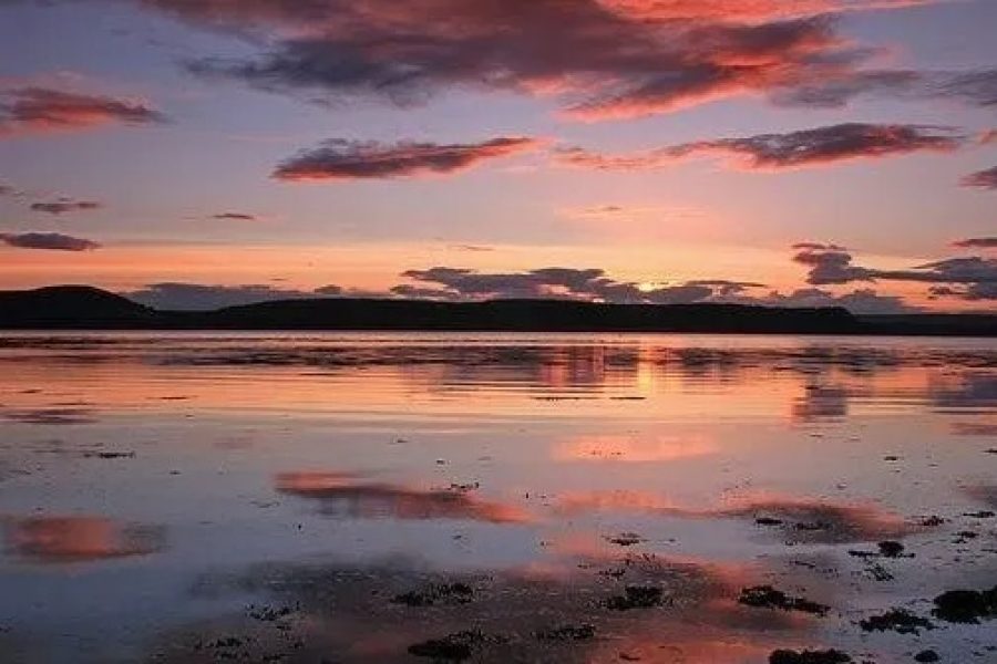 Black Isle Half Day Tour