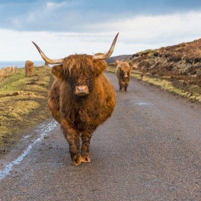 Scottish Highlands